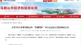 2021年度马鞍山市“专精特新”中小企业公示