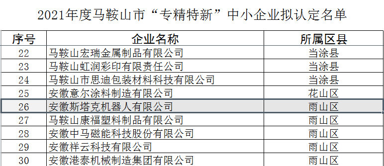 2021年度马鞍山市“专精特新”中小企业公示名单